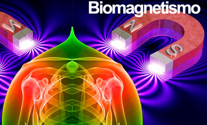biomagnetismo