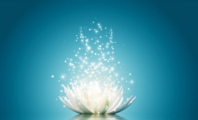 Federacion española de reiki