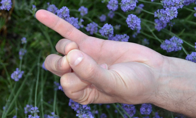 Mudra APAN VAYU relaja y equilibra tu espíritu