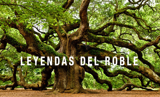 Roble, Quercus robur