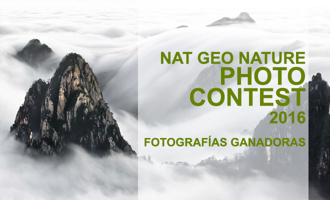 fotografías ganadoras del Nat Geo Nature