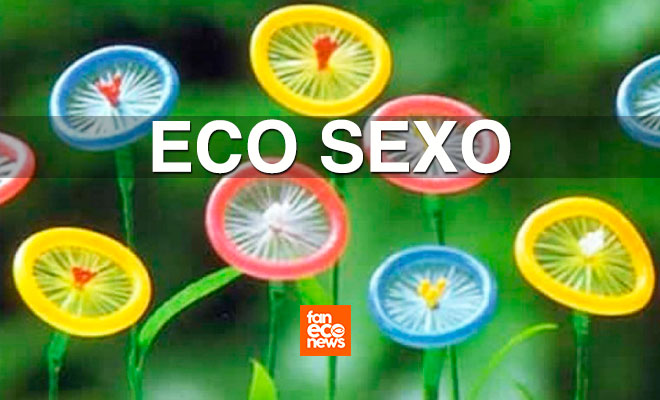 Eco sexo